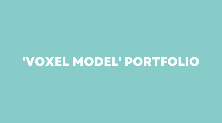 3D Voxel Portfolio